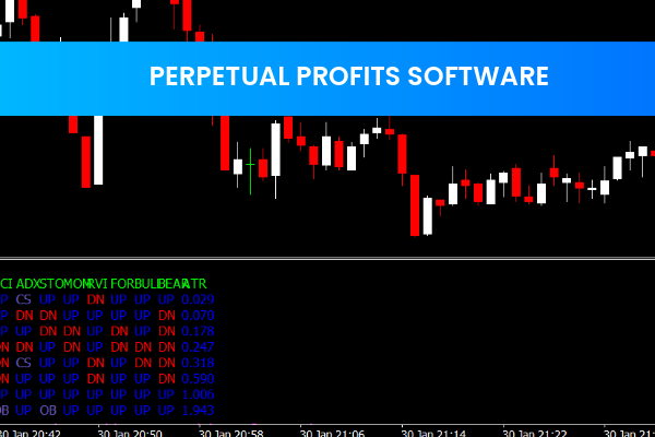 Perpetual Profits Software