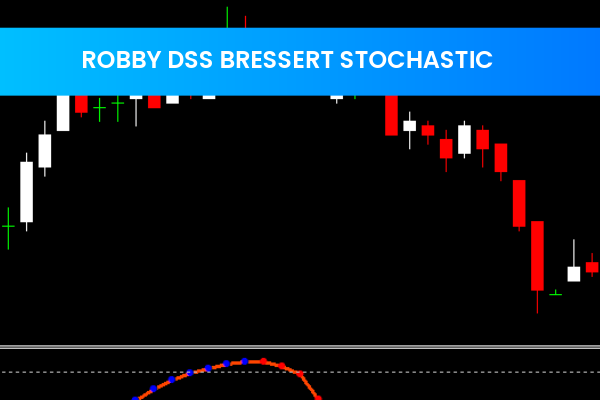 Robby Dss Bressert Stochastic