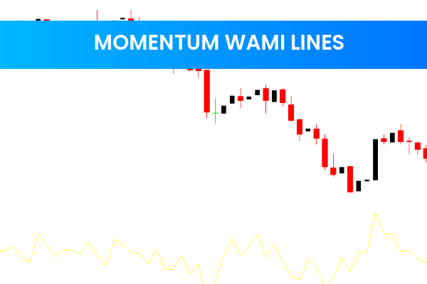 Momentum Wami Lines