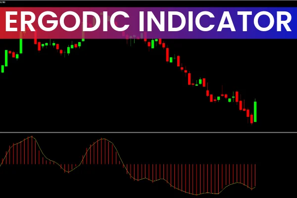 Ergodic Indicator