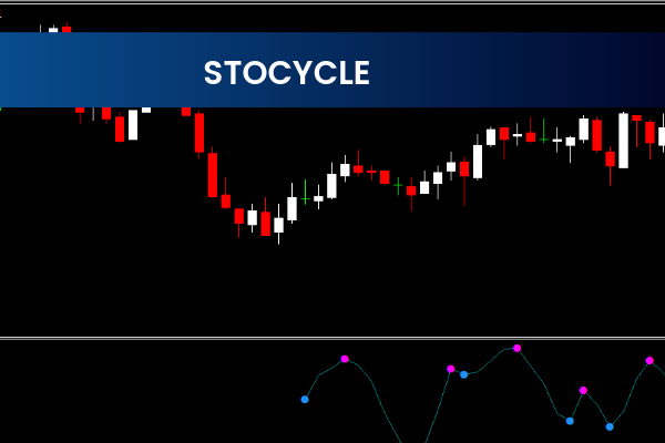 Stocycle