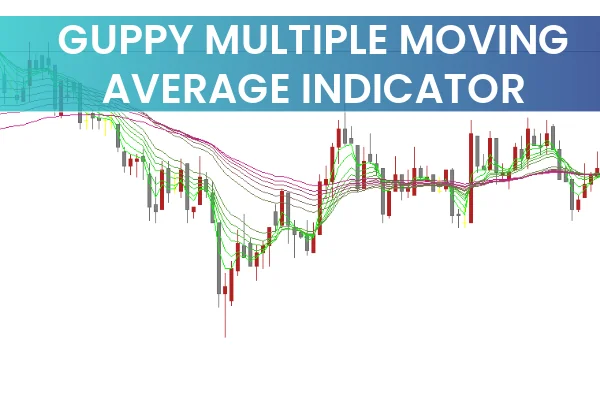 Guppy Multiple Moving Average Indicator