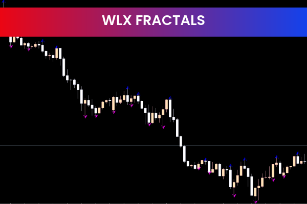 WLX Fractal