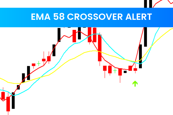 Ema 58 Crossover Alert