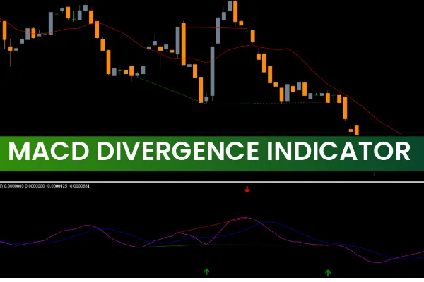 MACD Divergence Indicator