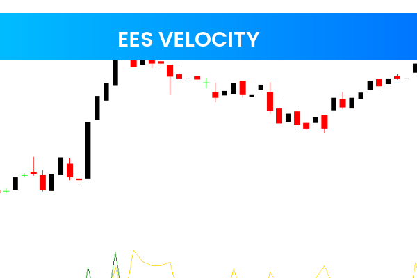 EES Velocity