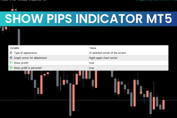 Show Pips indicator