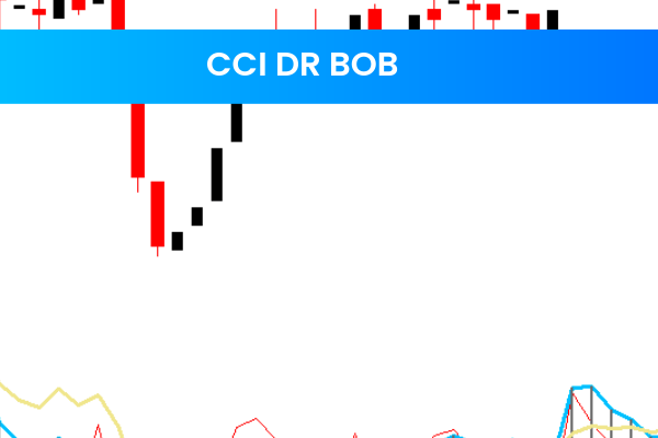 CCI Dr Bob