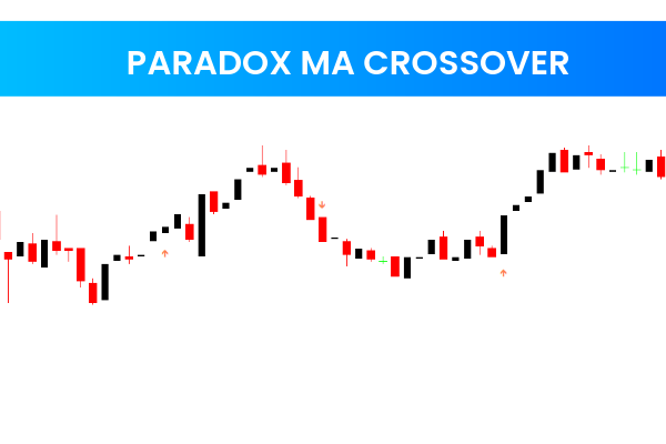 Paradox MA Crossover