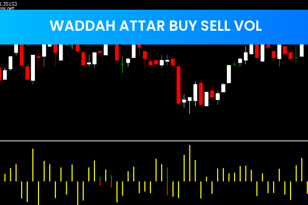 Waddah Attar Buy Sell Vol