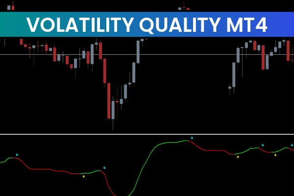 Volatility Quality
