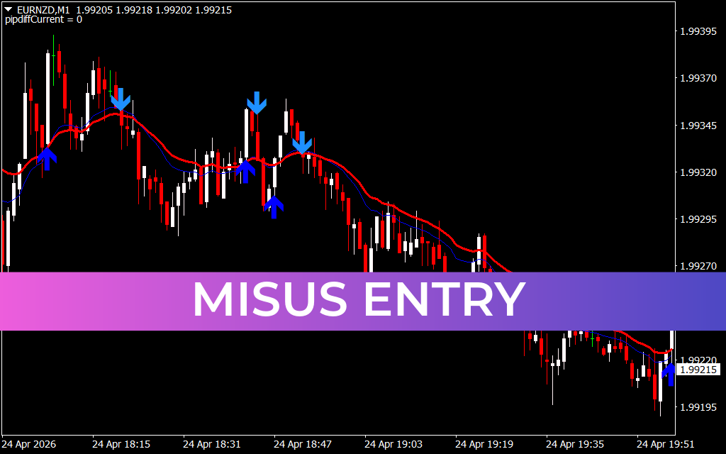 Misus Entry