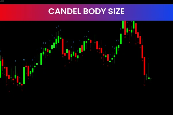 Candle Body Size