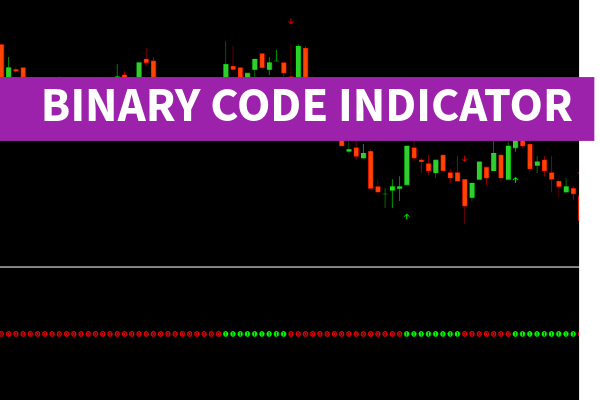 Binary Code Indicator
