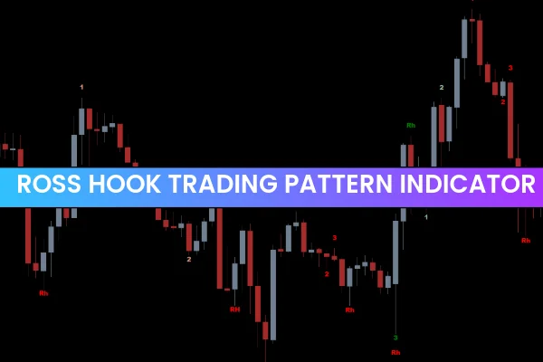 Ross Hook Trading Pattern Indicator