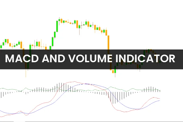 MACD And Volume Indicator