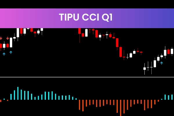 Tipu CCI Q1