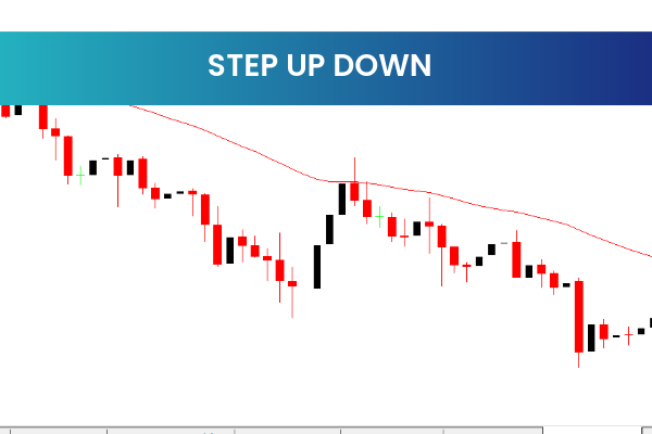 Step Up Down