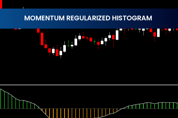 Momentum Regularized Histogram