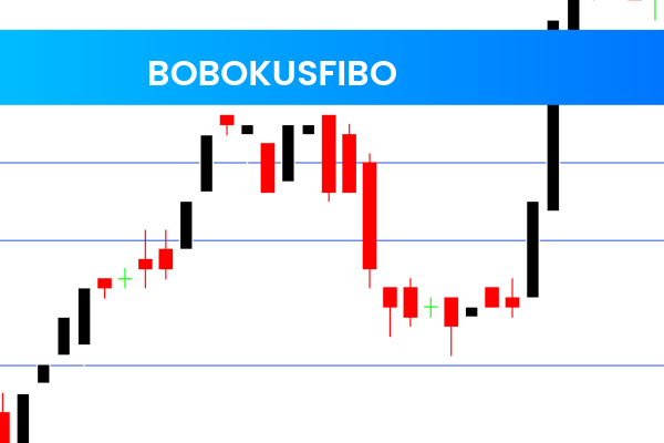 Bobokusfibo