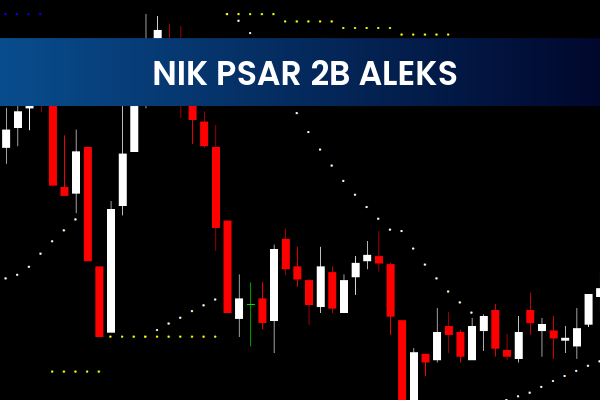 Nik Psar 2B Aleks