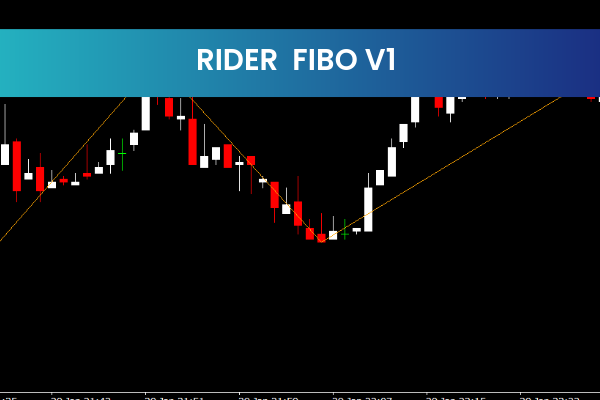 Rider  FIBO V1