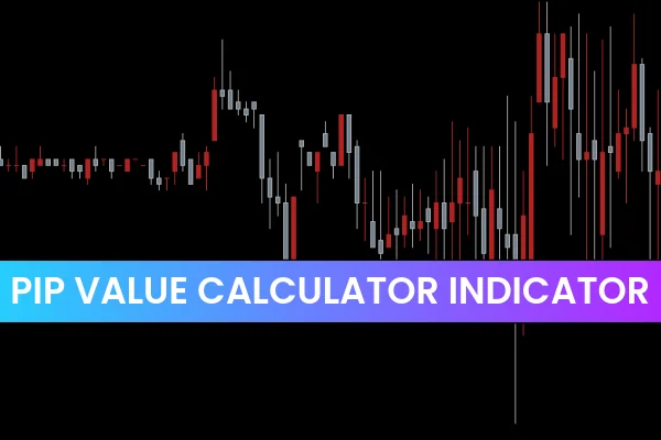 Pip Value Calculator Indicator