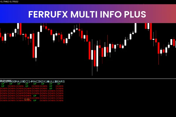 Ferrufx Multi Info Plus