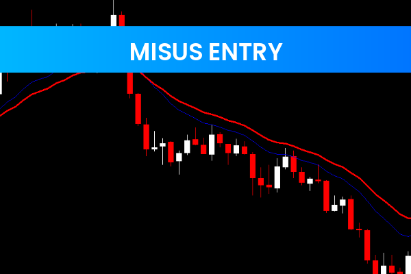 Misus Entry