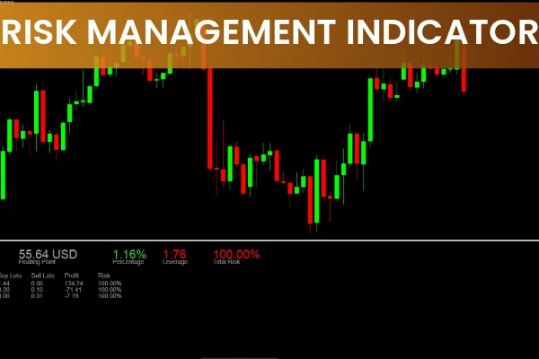 Risk Management Indicator