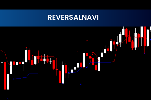 Reversalnavi