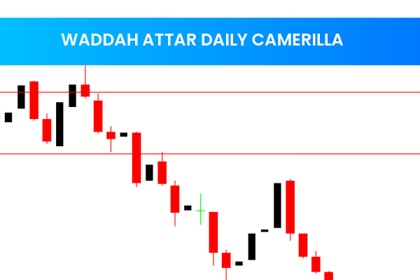 Waddah Attar Daily Camerilla