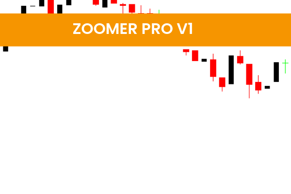 Zoomer Pro V1