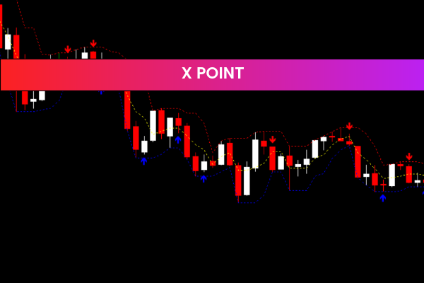 X Point