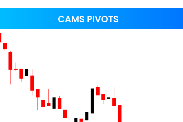 Cams Pivots