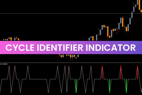 Cycle Identifier Indicator