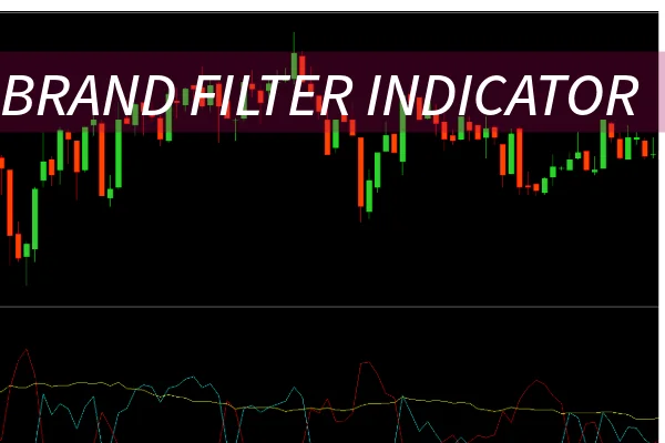 Braid Filter Indicator