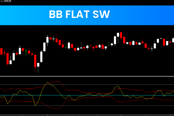 BB Flat SW