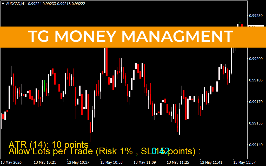 TG Money Managment
