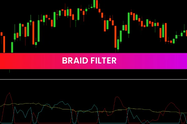 Braid Filter