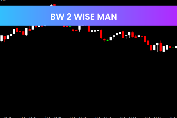 BW 2 Wise Man
