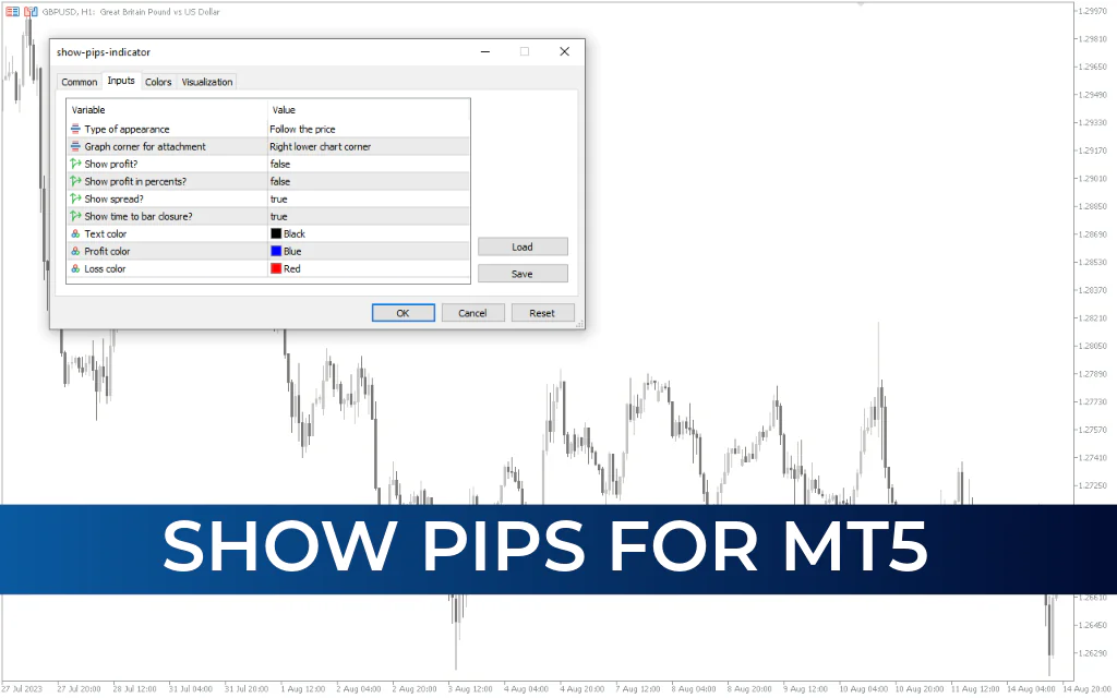 Show Pips for mt5