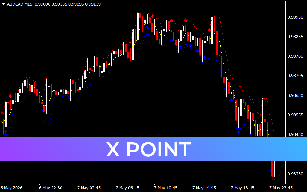 X Point