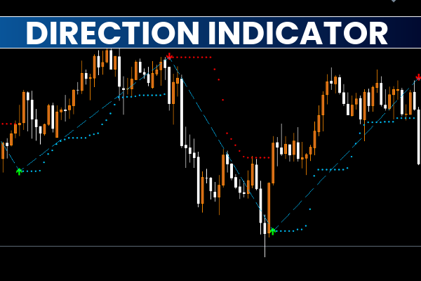 Direction Indicator
