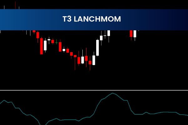 T3 Lanchmom
