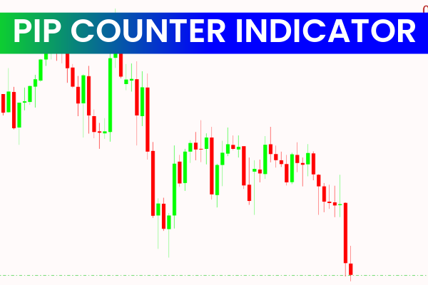 Pip Counter