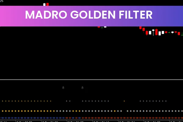 Madro Golden Filter