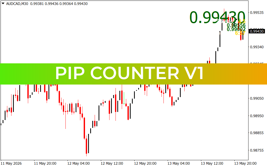 PIP Counter V1