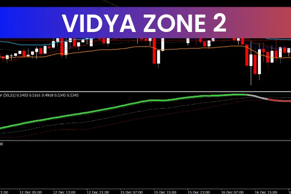 Vidya Zone 2