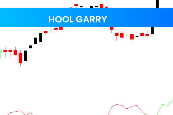 Hool Garry